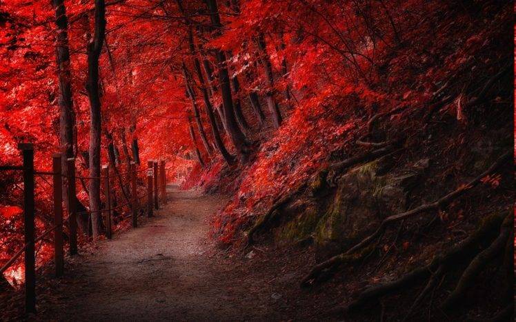 landscape, Nature, Fall, Red, Path, Fence, Mountain, Forest, Trees, Roots HD Wallpaper Desktop Background
