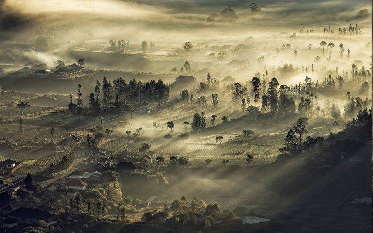 nature, Landscape, Sunrise, Mist, Indonesia, Valley, Village, Field, Trees HD Wallpaper Desktop Background