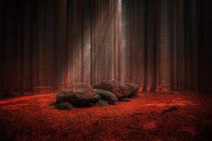 nature, Landscape, Sunlight, Forest, Stones, Trees, Leaves, Red, Fall, Mist