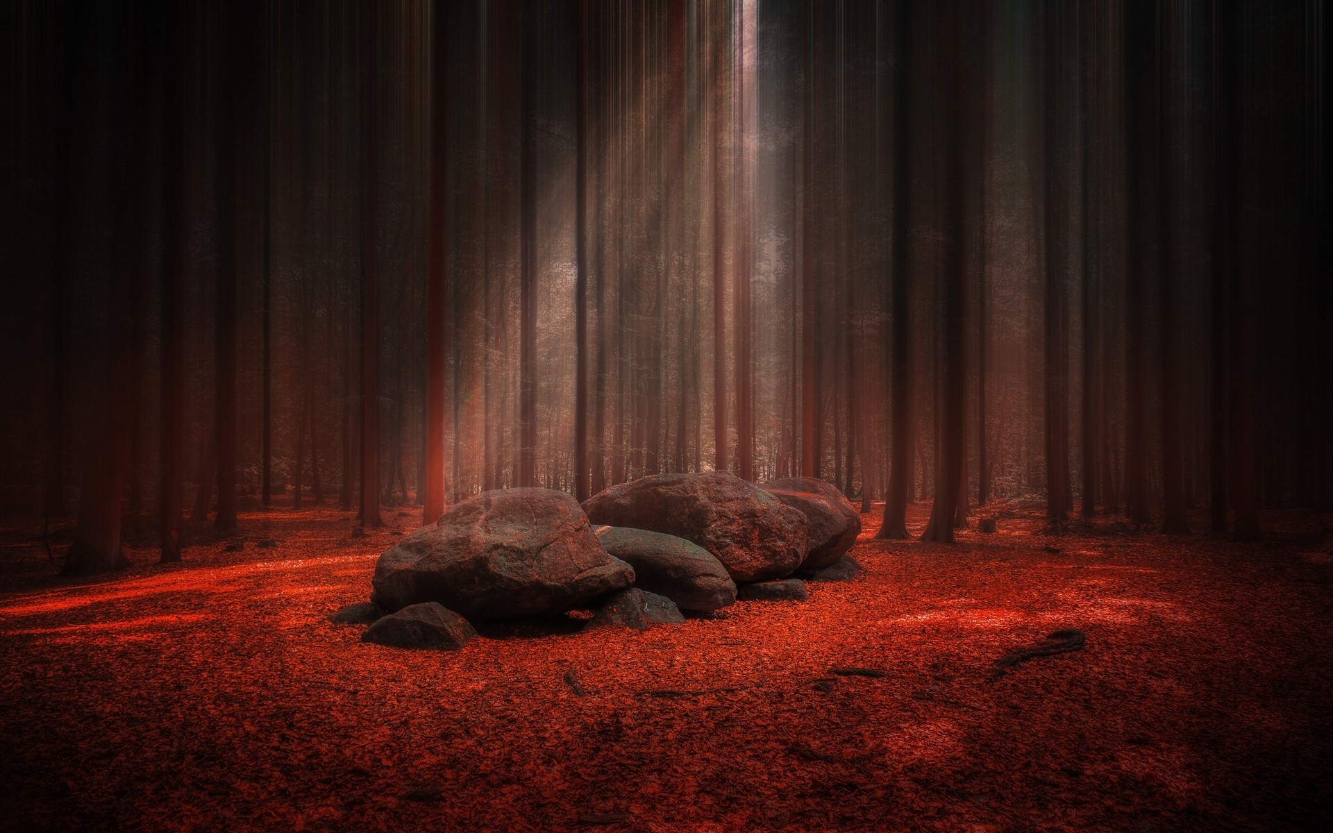 nature, Landscape, Sunlight, Forest, Stones, Trees, Leaves, Red, Fall, Mist Wallpaper