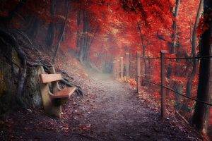 nature, Landscape, Fall, Path, Bench, Fence, Forest, Roots, Mountain, Mist, Red