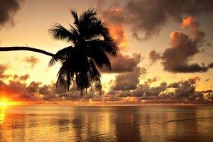 Hawaii, Beach, Sunset, Landscape, Clouds, Nature, Photography, Palm Trees