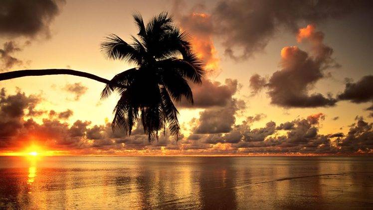 Hawaii, Beach, Sunset, Landscape, Clouds, Nature, Photography, Palm Trees HD Wallpaper Desktop Background