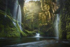 nature, Landscape, Oregon, Waterfall, Moss, Forest, Mist, Sunrise, USA, Pine Trees, Water, Valley, River