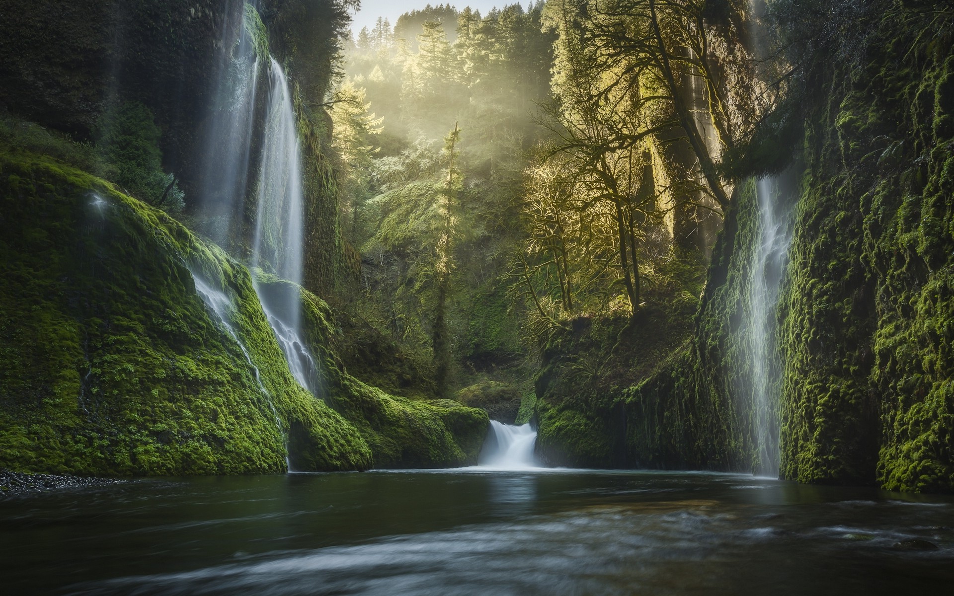 nature, Landscape, Oregon, Waterfall, Moss, Forest, Mist, Sunrise, USA, Pine Trees, Water, Valley, River Wallpaper