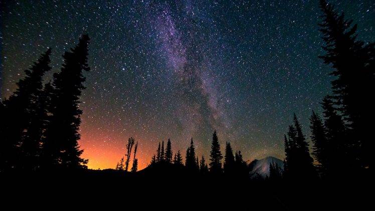 landscape, Night, Trees, Stars, Milky Way, Sunrise, Silhouette, Mountain, Forest, Nature, Long Exposure HD Wallpaper Desktop Background