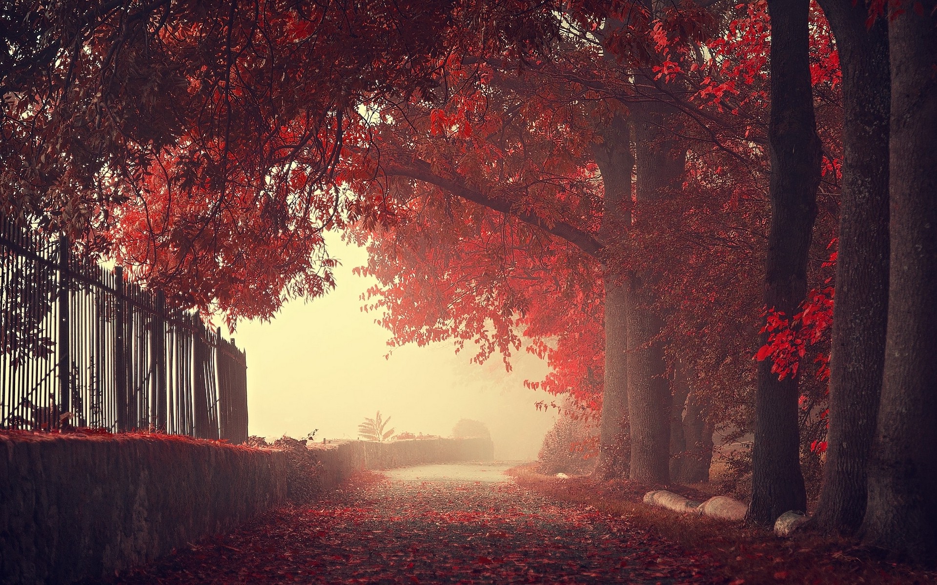 nature, Landscape, Fall, Fence, Trees, Walls, Mist, Road, Leaves, Red ...