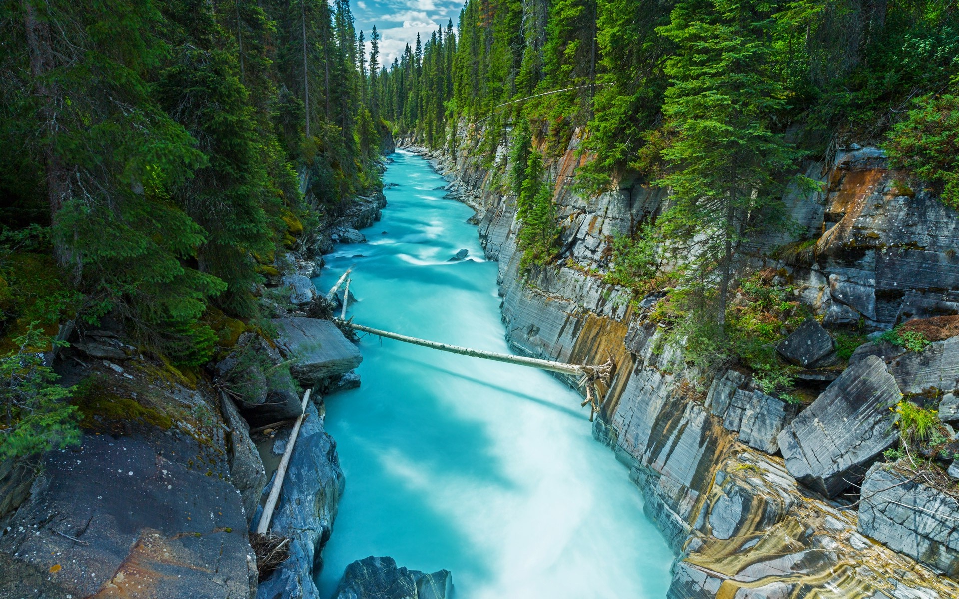 nature, Landscape, Canada, Forest, River, Rock, Water, Green, Trees, Turquoise Wallpaper