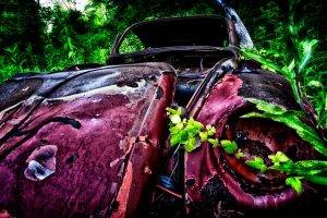 car, Vintage, Rust, Green, Plants, Wreck, Pink