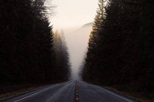 nature, Landscape, Road, Trees, Forest, Mist, Hill