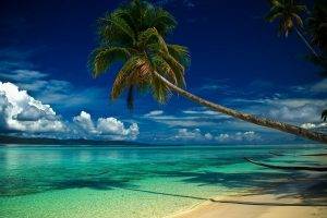 nature, Landscape, Beach, Palm Trees, Clouds, Sea, Hill, Morning, Summer, Tropical, Water, Blue, White, Green, Turquoise