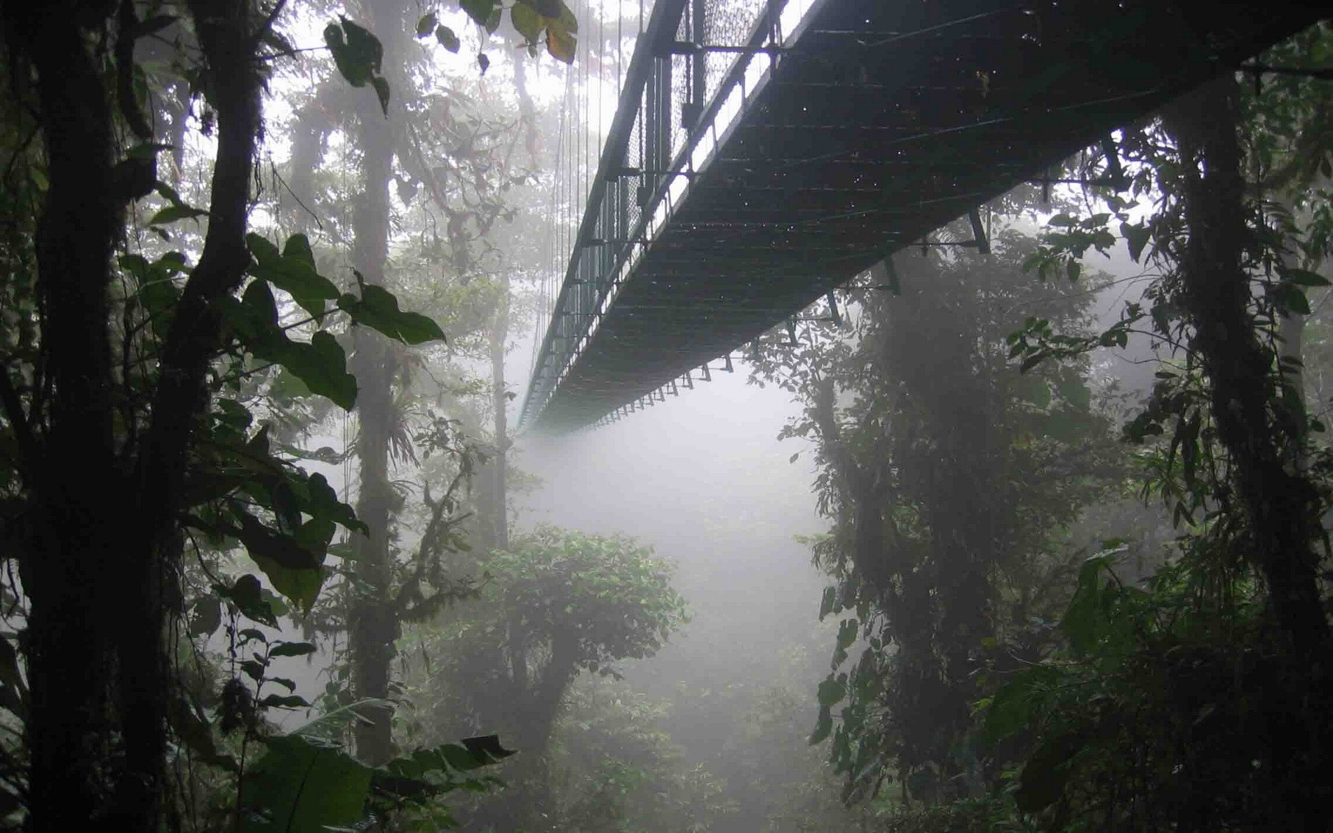 landscape, Nature, Mist, Forest, Bridge, Costa Rica, Trees Wallpaper