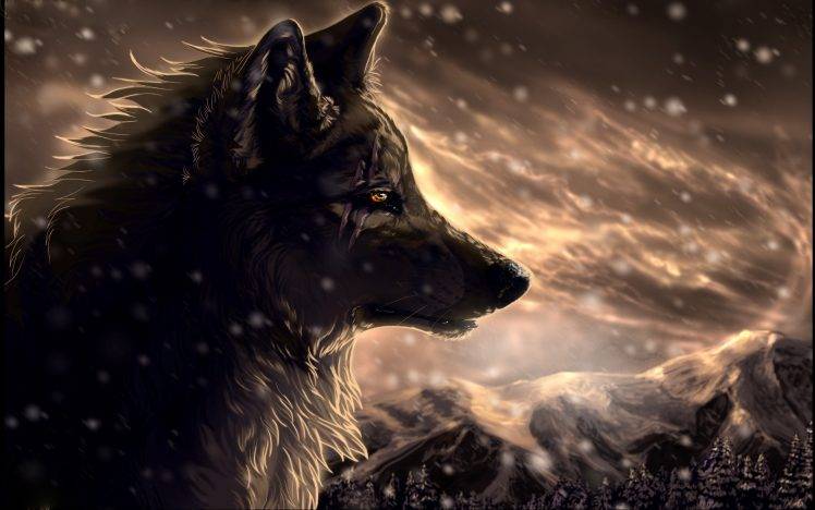 wolf, Anime HD Wallpaper Desktop Background