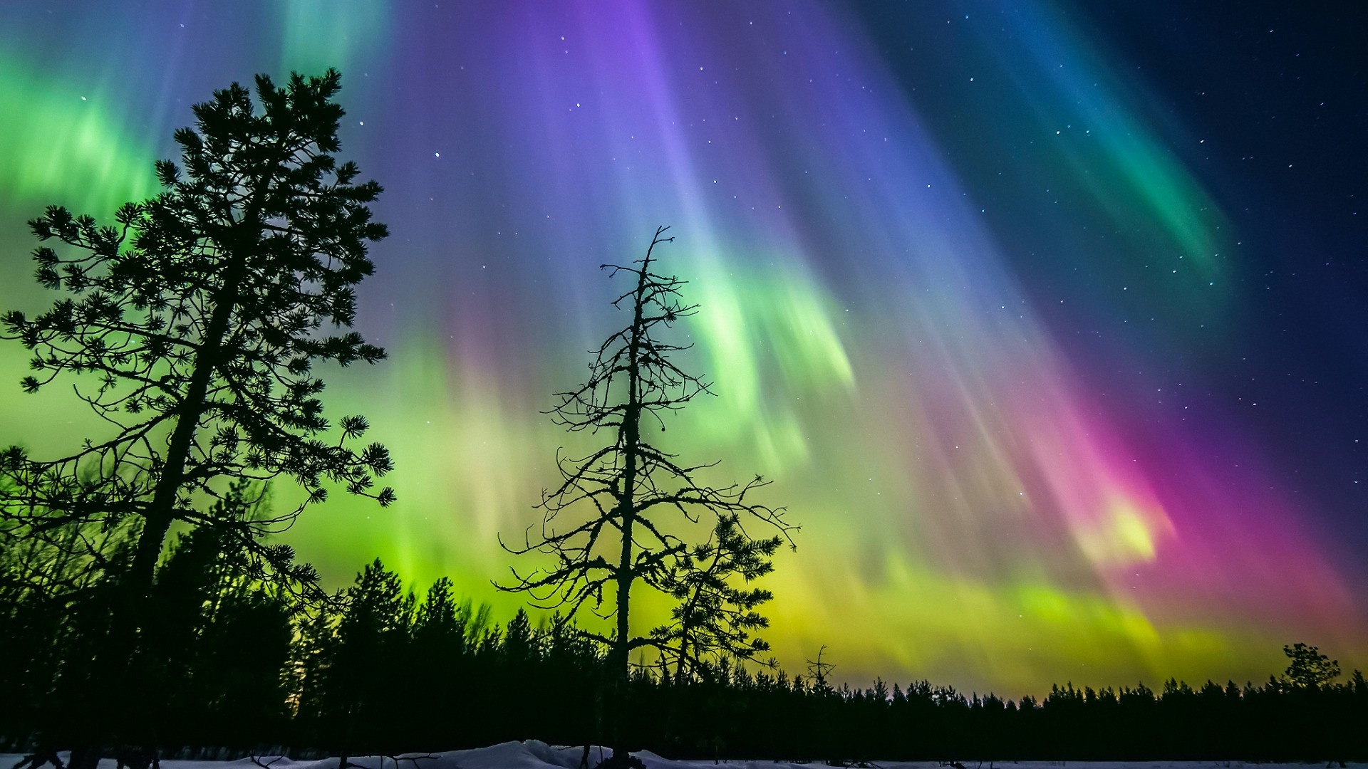 nature, Landscape, Silhouette, Trees, Long Exposure, Finland, Night, Winter, Snow, Stars, Aurorae, Forest, Pine Trees, Colorful Wallpaper