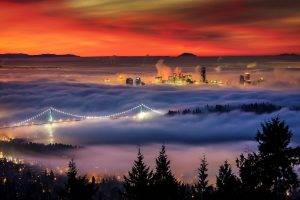 nature, Landscape, Mist, Cityscape, Vancouver, Trees, Bridge, Building, Sunset, Lights