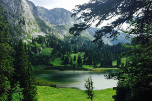 nature, Landscape, Water, Rock, Trees, Forest, Lake, Mountain, Pine Trees, Hill, Grass, Valley