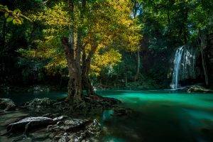 nature, Landscape, Waterfall, Thailand, Trees, Roots, Green, Yellow, Tropical