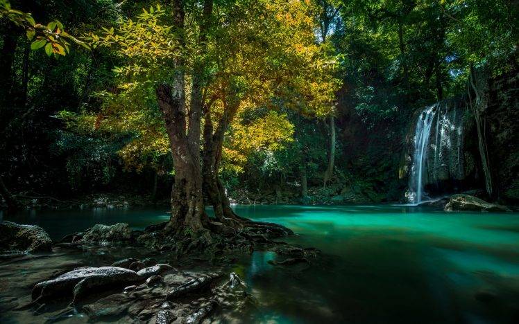 nature, Landscape, Waterfall, Thailand, Trees, Roots, Green, Yellow, Tropical HD Wallpaper Desktop Background