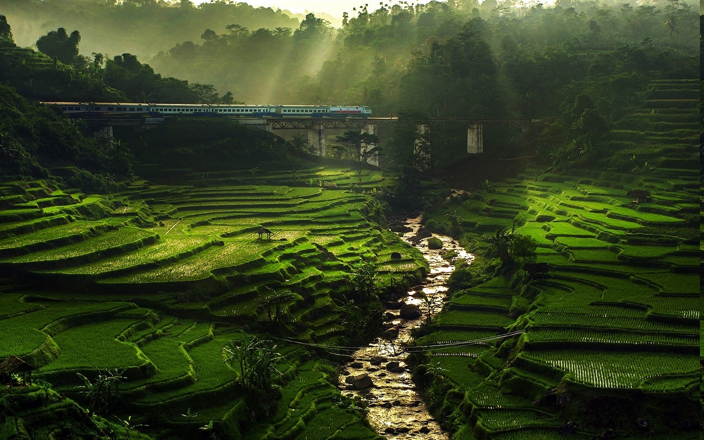 nature, Landscape, Rice Paddy, River, Sun Rays, Field, Terraces, Train, Bridge, Trees, Mist, Green, Water Wallpaper