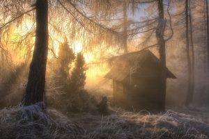 nature, Landscape, Frost, Sunrise, Forest, Hut, Trees, Winter, Snow