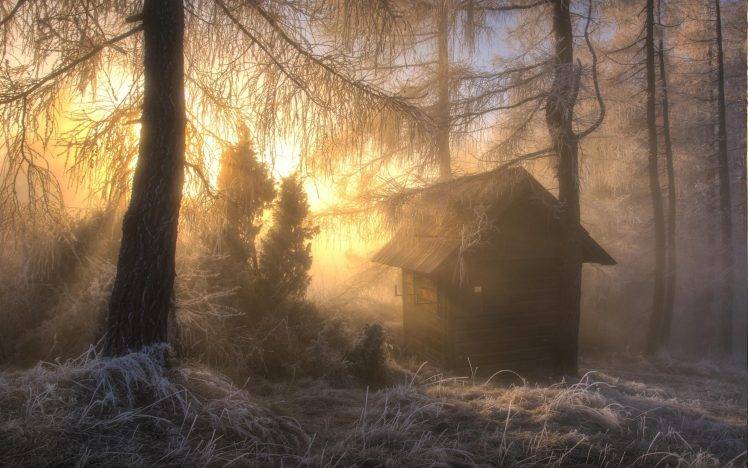 nature, Landscape, Frost, Sunrise, Forest, Hut, Trees, Winter, Snow HD Wallpaper Desktop Background