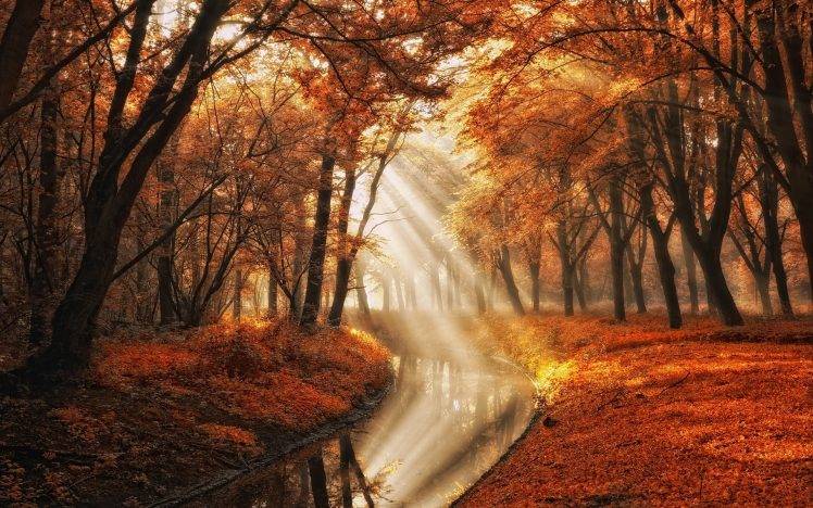 landscape, Nature, Fall, Trees, Canal, Sun Rays, Mist, Leaves, Park, Orange HD Wallpaper Desktop Background