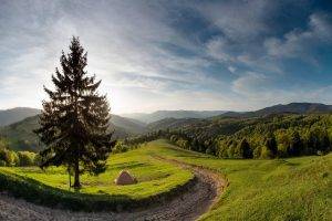 nature, Landscape, Spring, Forest, Mountain, Path, Morning, Trees, Clouds, Grass, Ukraine