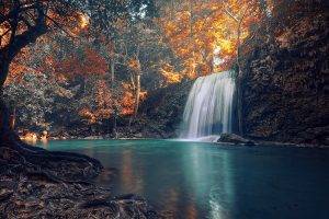 nature, Waterfall, Trees, Landscape, Roots, Fall, Tropical, Colorful