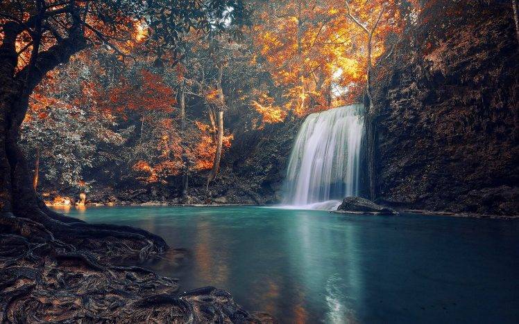 nature, Waterfall, Trees, Landscape, Roots, Fall, Tropical, Colorful HD Wallpaper Desktop Background