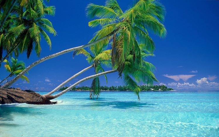 nature, Landscape, Beach, Sea, Vacations, Summer, Palm Trees, Tropical, Water HD Wallpaper Desktop Background