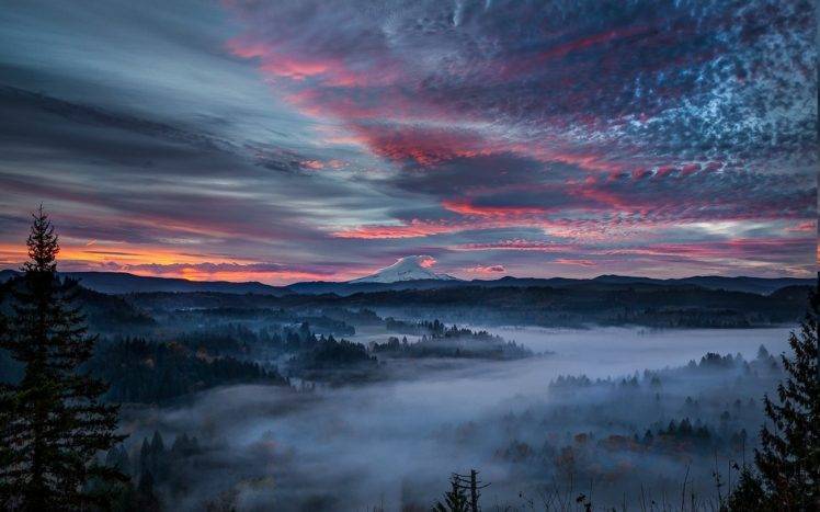 nature, Landscape, Mist, Valley, Forest, Sunrise, Clouds, Mountain, Snowy Peak, Blue, Trees HD Wallpaper Desktop Background