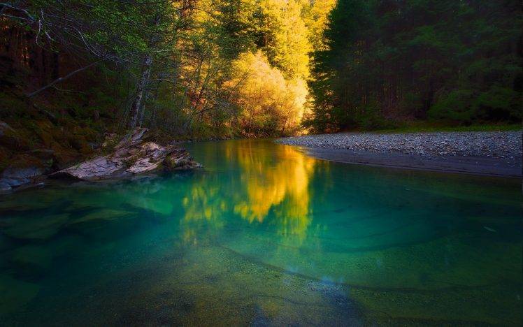 nature, River, Forest, Water, Trees, Yellow, Green, Calm, Landscape, Turquoise HD Wallpaper Desktop Background