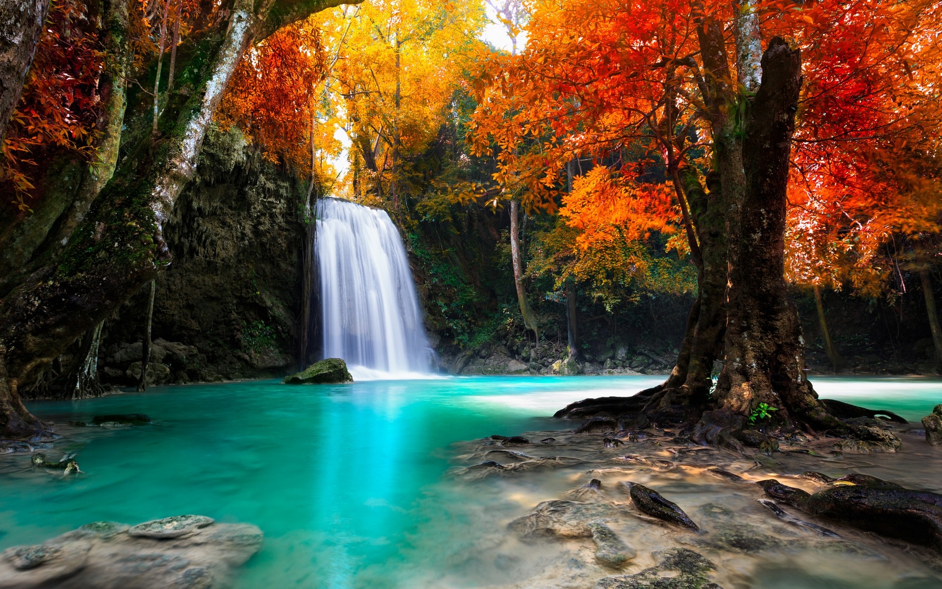colorful, Trees, Waterfall, Nature, Tropical, Forest, Fall  