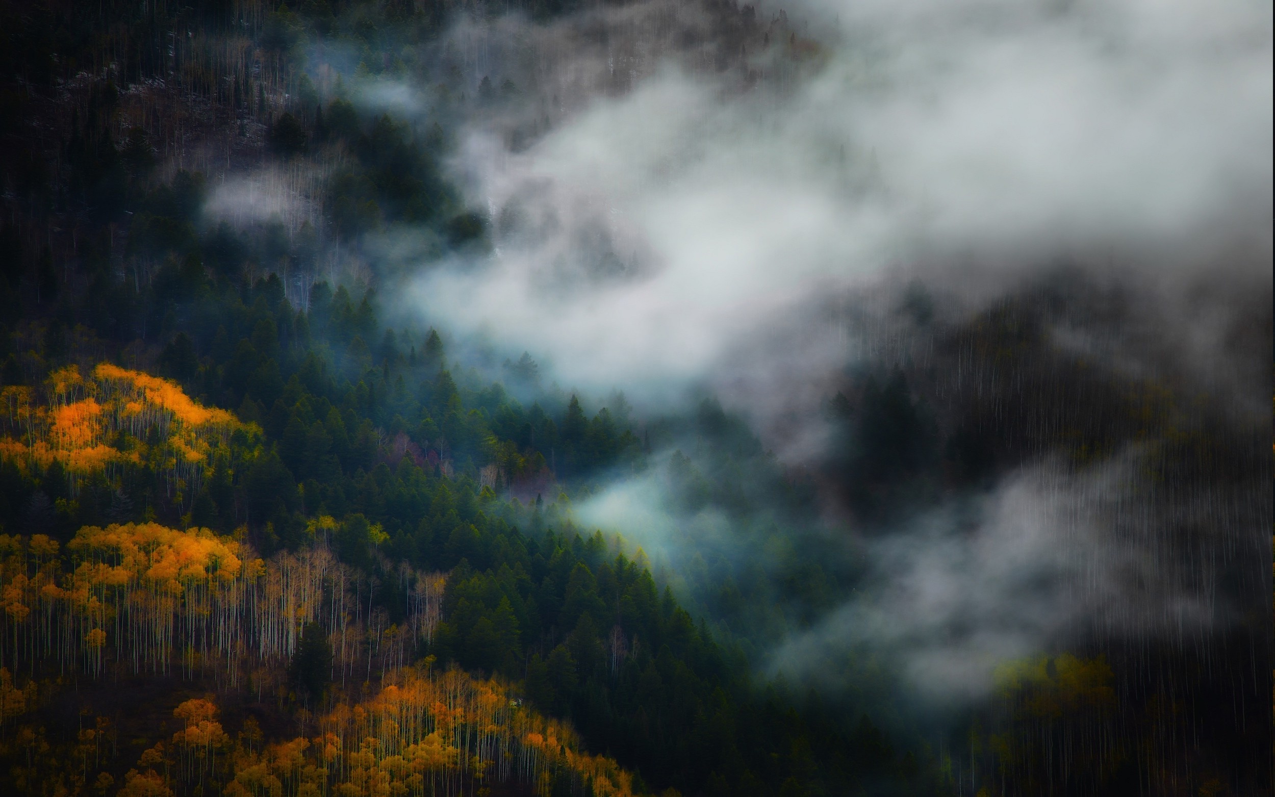 landscape, Nature, Mist, Fall, Forest, Mountain, Trees, Morning Wallpaper