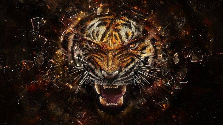abstract, Tiger, Animals, Digital Art, Shattered HD Wallpaper Desktop Background