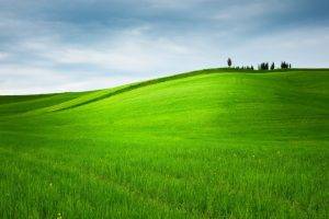 hill, Grass, Trees, Landscape, Nature, Field, Green