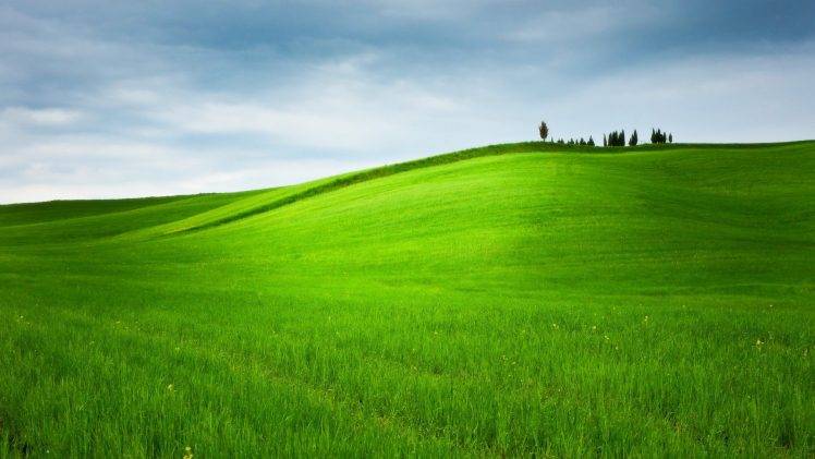 hill, Grass, Trees, Landscape, Nature, Field, Green HD Wallpaper Desktop Background