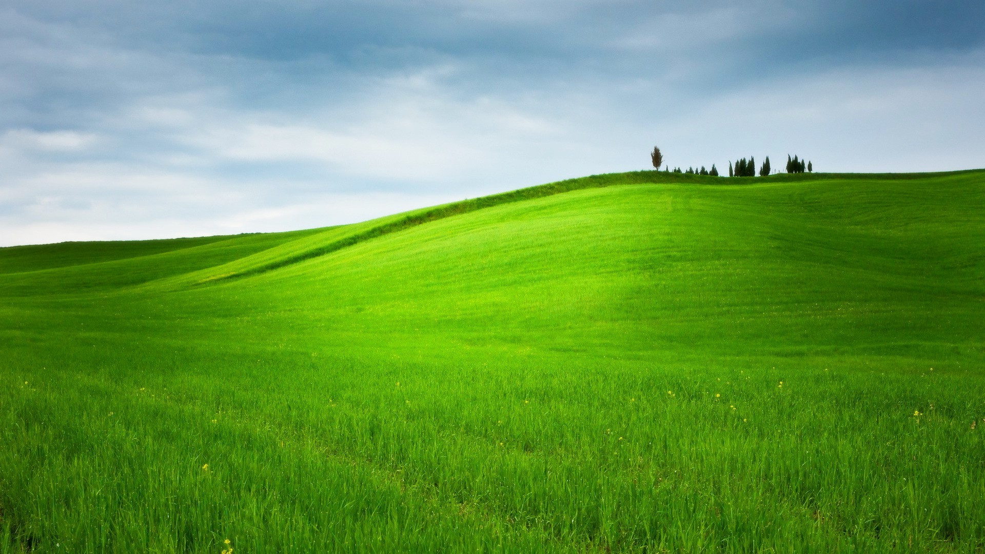 Hill Grass Trees Landscape Nature Field Green Wallpapers Hd