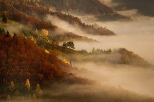 mist, Nature, Sunrise, Landscape, Morning, Fall, Mountain, Forest, Cottage, Trees