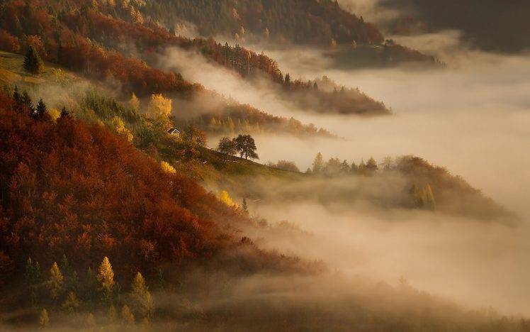 mist, Nature, Sunrise, Landscape, Morning, Fall, Mountain, Forest, Cottage, Trees HD Wallpaper Desktop Background