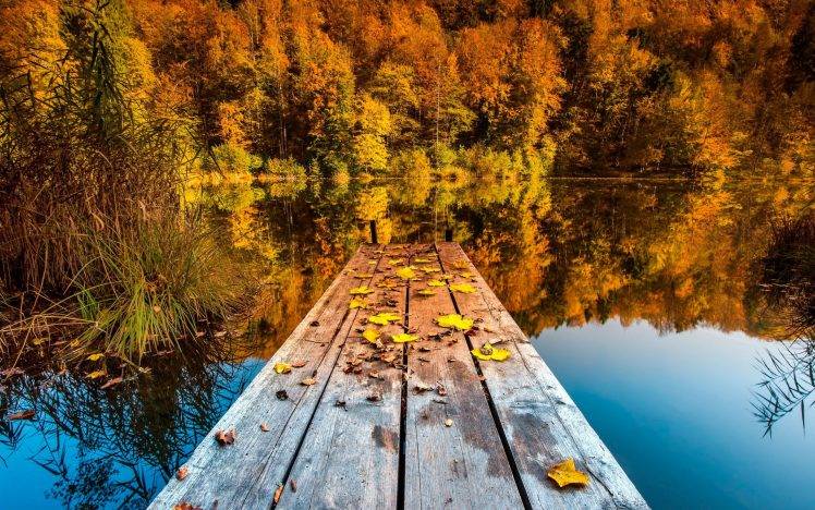 nature, Landscape, Trees, Pier, Wooden Surface, Forest, Water, Lake, Reflection, Fall, Leaves HD Wallpaper Desktop Background