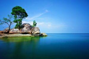 rock, Trees, Sea, Nature, Alone, Landscape