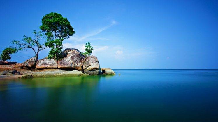 rock, Trees, Sea, Nature, Alone, Landscape HD Wallpaper Desktop Background