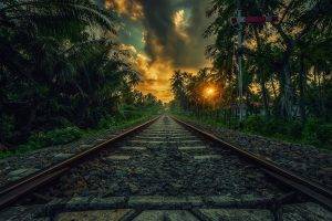nature, Landscape, Railway, Sunset, Palm Trees, Clouds, Shrubs, Sri Lanka, Tropical
