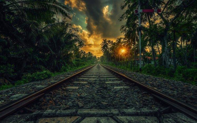 nature, Landscape, Railway, Sunset, Palm Trees, Clouds, Shrubs, Sri Lanka, Tropical HD Wallpaper Desktop Background