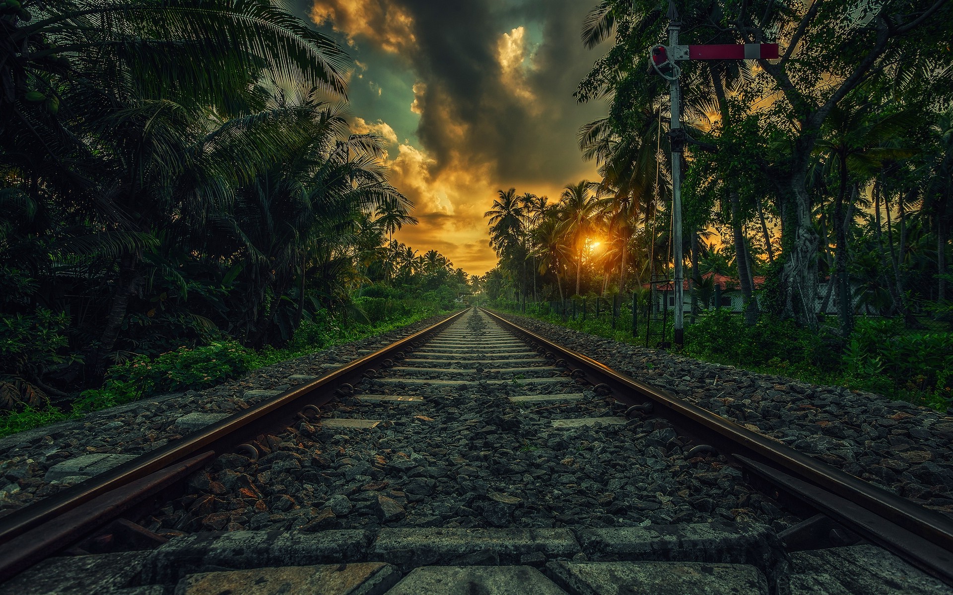 nature, Landscape, Railway, Sunset, Palm Trees, Clouds, Shrubs, Sri Lanka, Tropical Wallpaper