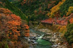 nature, Landscape, Trees, Forest, Branch, Leaves, Colorful, Fall, Rock, Stones, River, Stream, Water, Train, Railway, Bridge