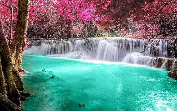 waterfall, Forest, Colorful, Nature, Thailand, Trees, Landscape, Pink, Turquoise, White, Tropical, River, Pond, Leaves HD Wallpaper Desktop Background