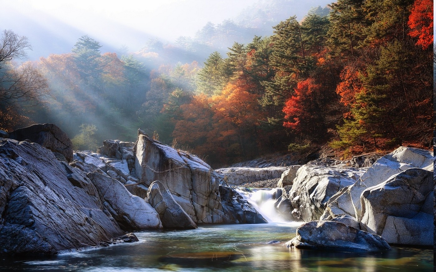 landscape, Nature, River, Mist, Forest, Sunrise, Fall, Sun Rays, Trees, Water, Colorful Wallpaper