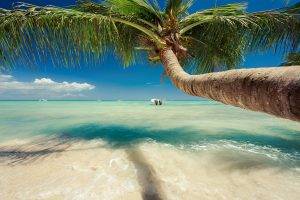 nature, Landscape, Caribbean, Sea, Palm Trees, Beach, Tropical, Summer, Sailboats, Water